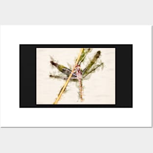 Dragonfly Watercolor Portrait Posters and Art